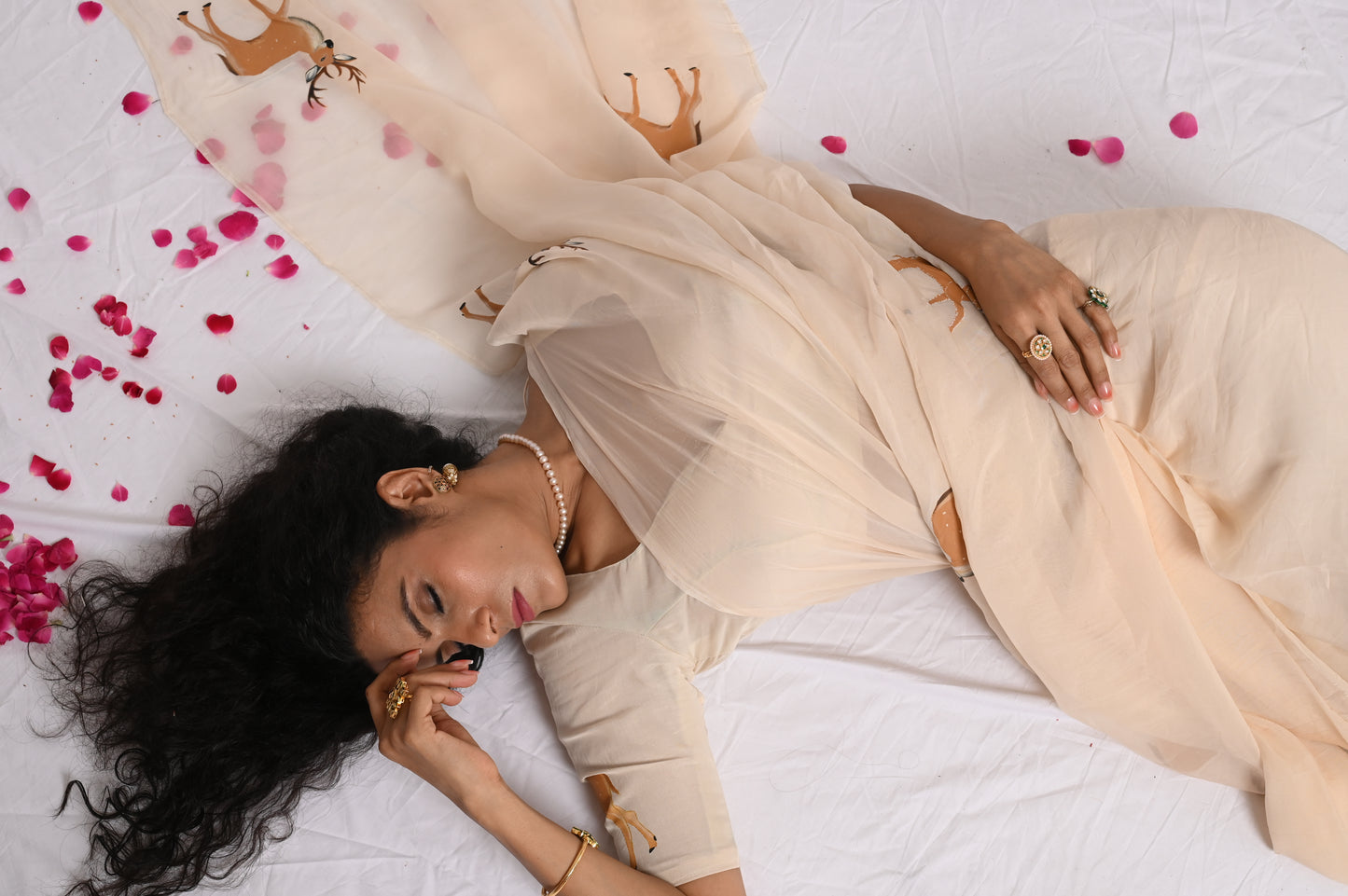 reindeer handpainted organza saree