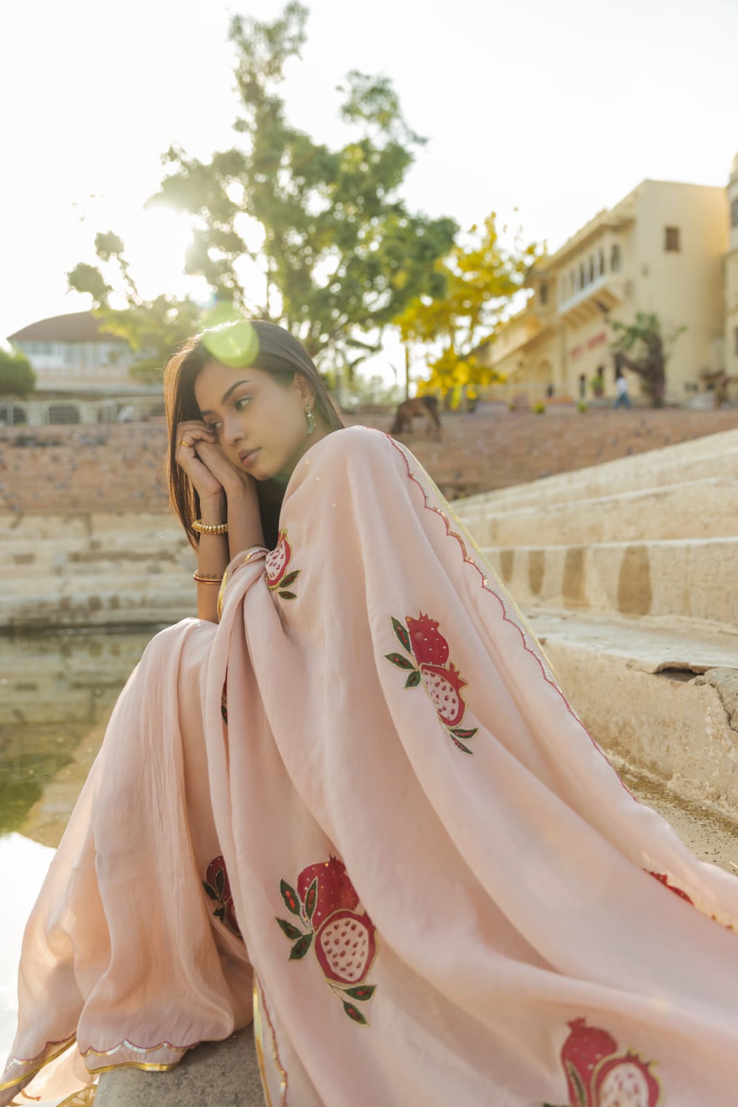 Chandra peach tissue saree handpainted and embellished