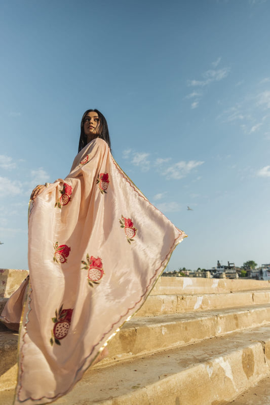 Chandra peach tissue saree handpainted and embellished
