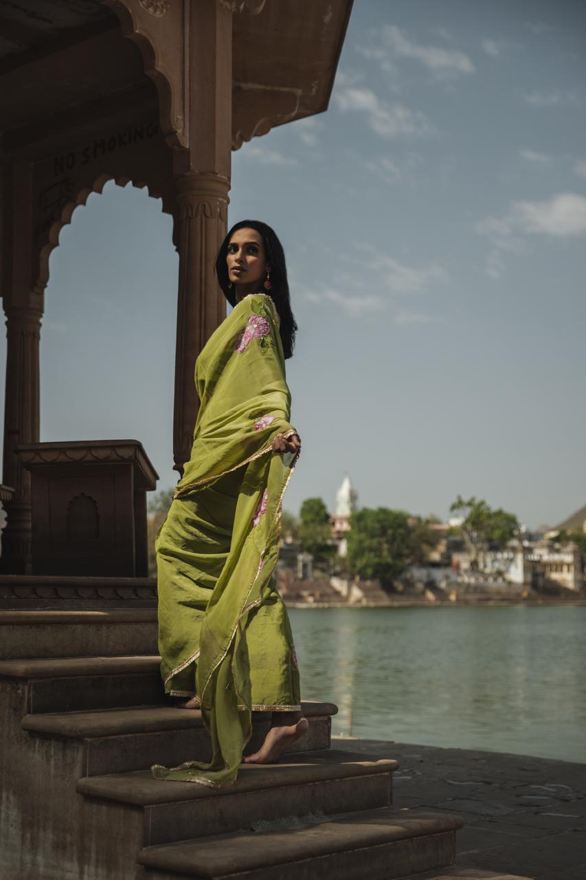 leela olive green organza handpainted and handembellished saree